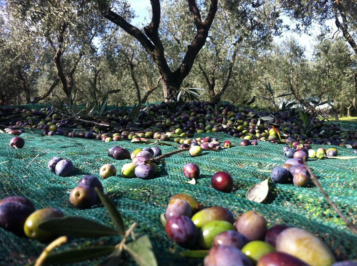 מרטינה פרנקה I Trulli Della Naturabio מראה חיצוני תמונה
